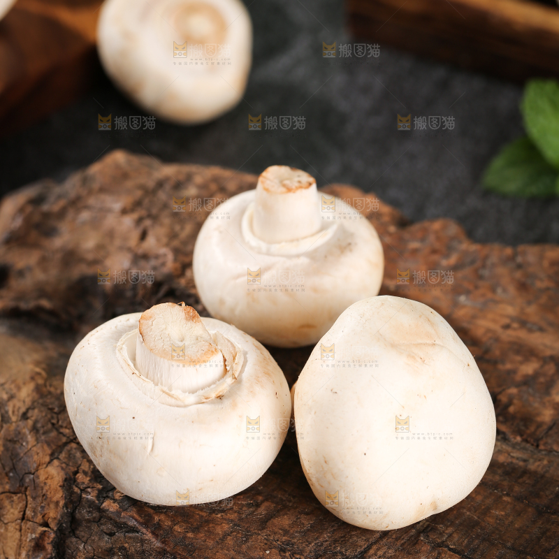 深底上的口蘑