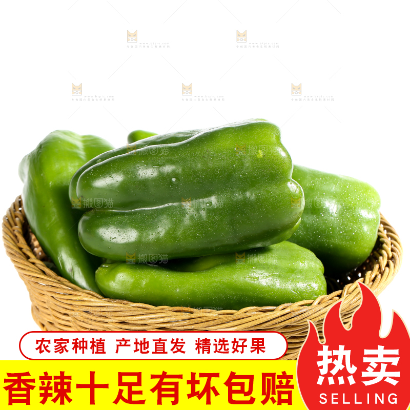 白底上的青椒