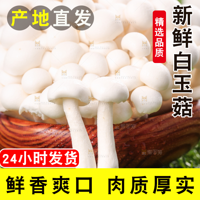 草地上的白玉菇