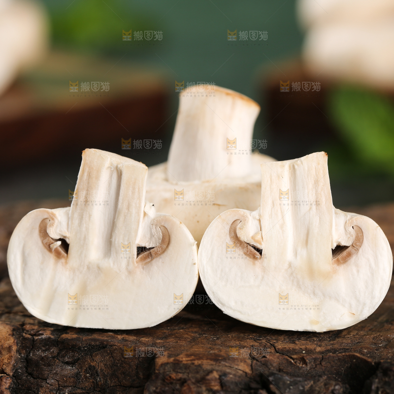 深底上的口蘑
