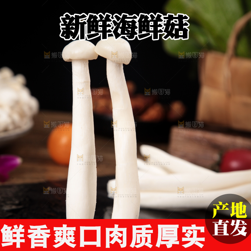 深底上的海鲜菇