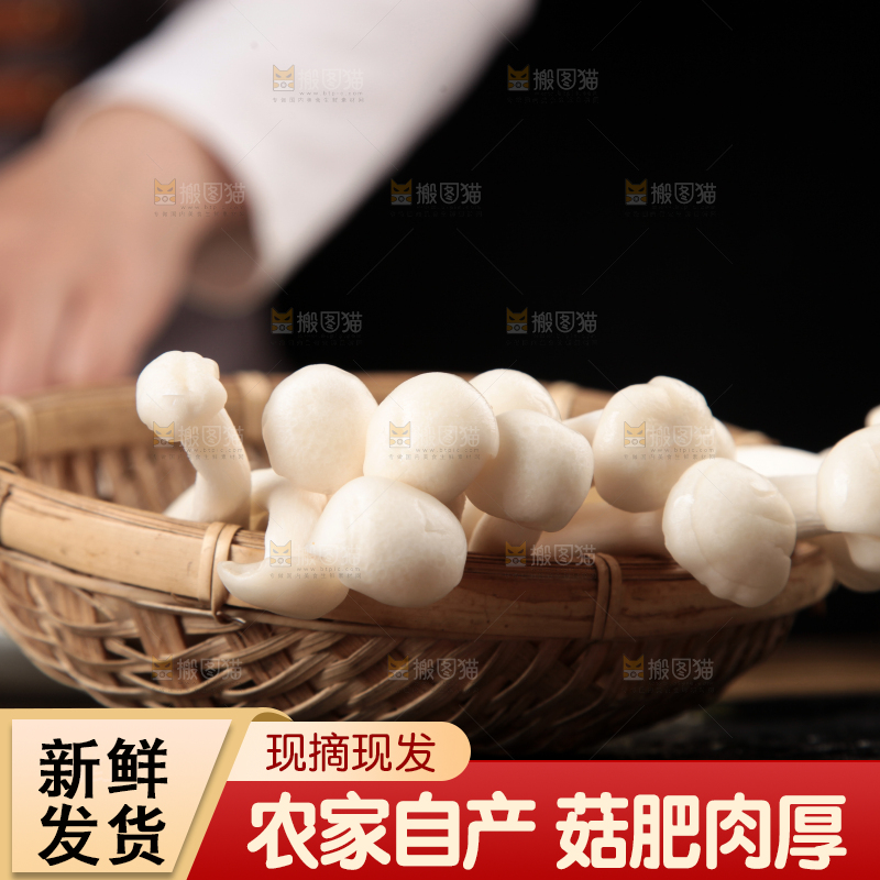 深底上的海鲜菇