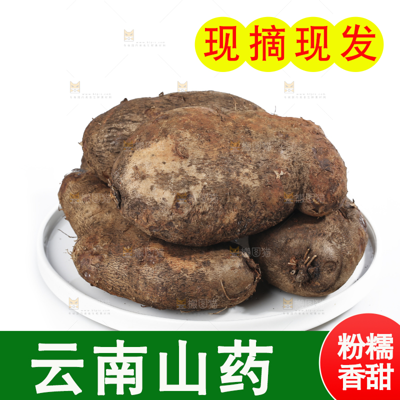 白底上的云南山药
