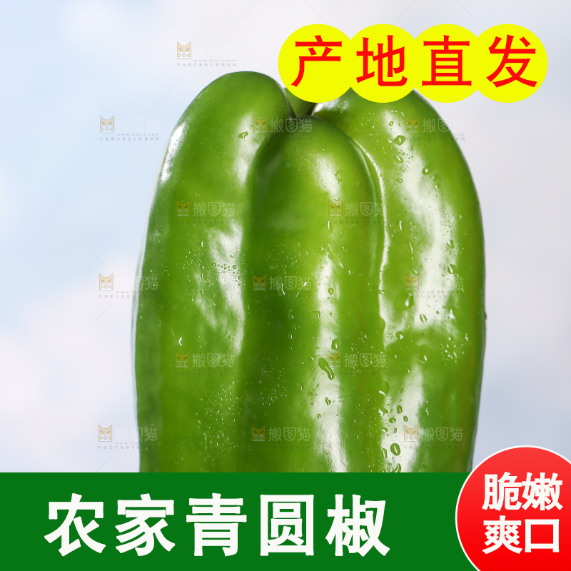 浅底上的青圆椒
