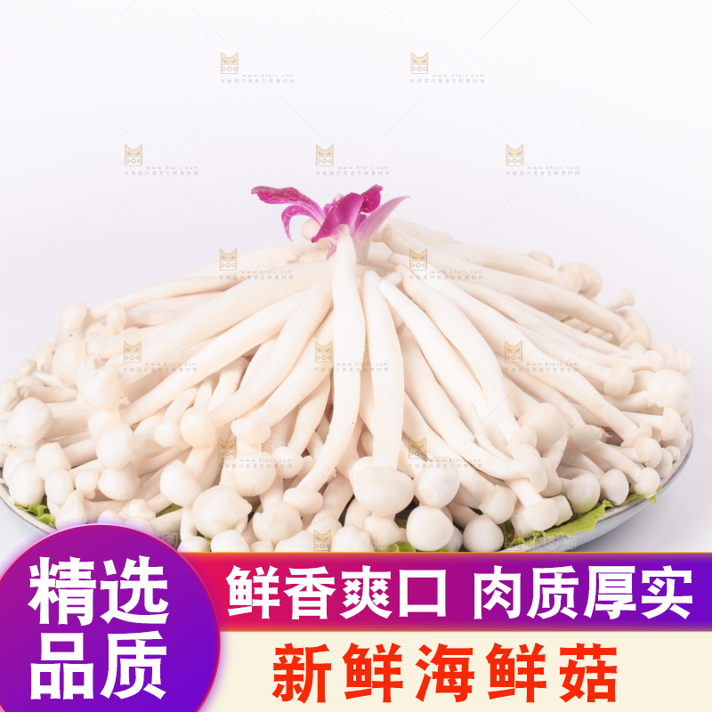 白底上的海鲜菇