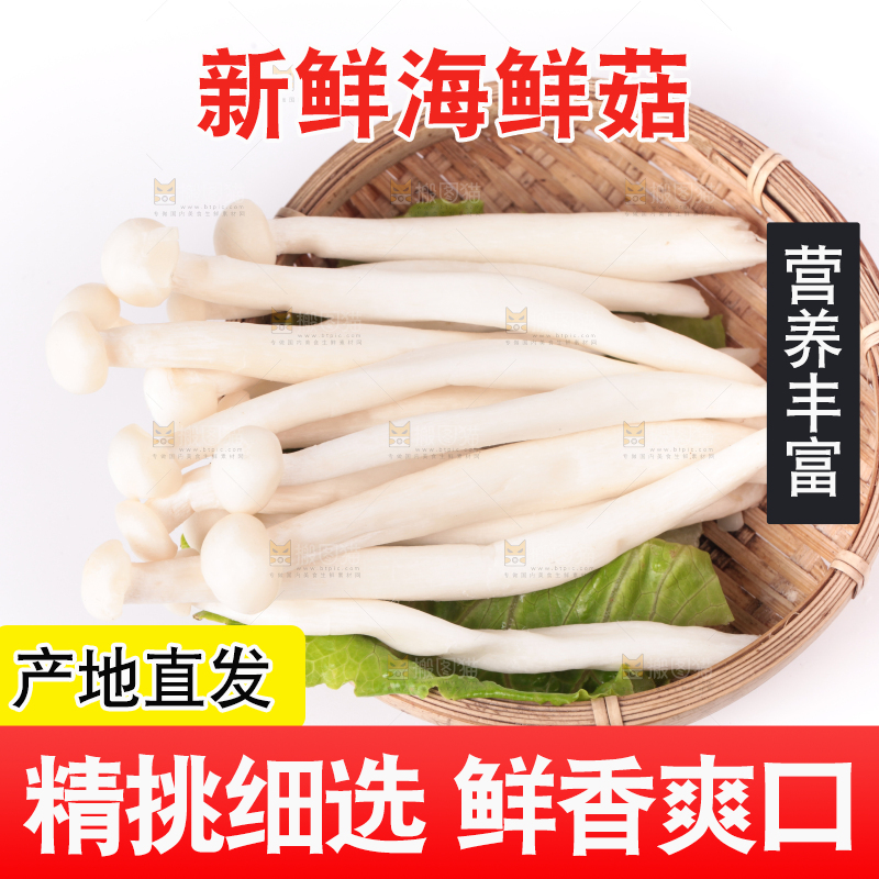 白底上的海鲜菇