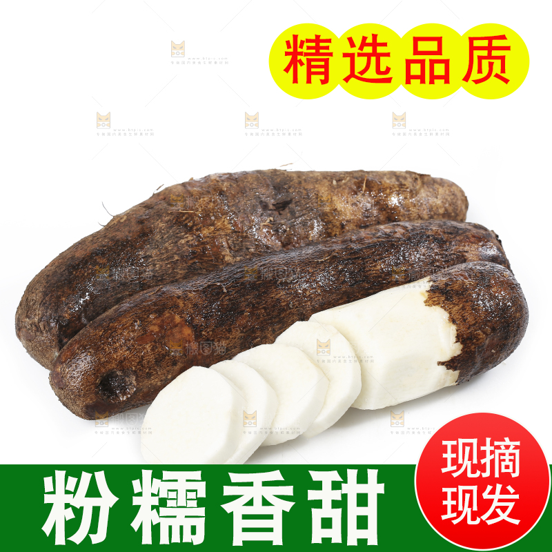 白底上的云南山药