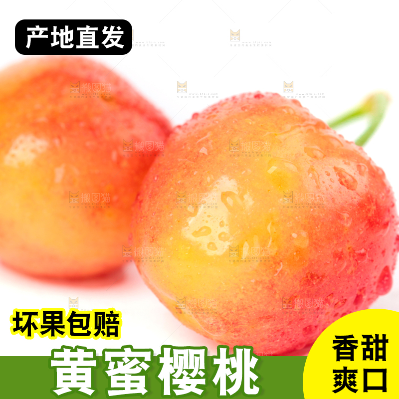 白底上的黄蜜樱桃