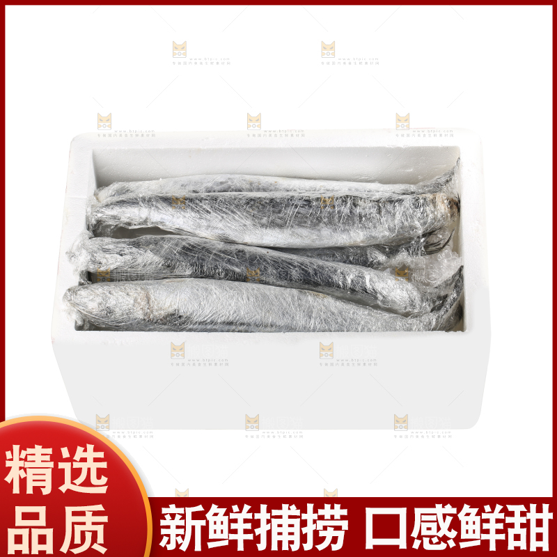 白底上的新鲜鲅鱼