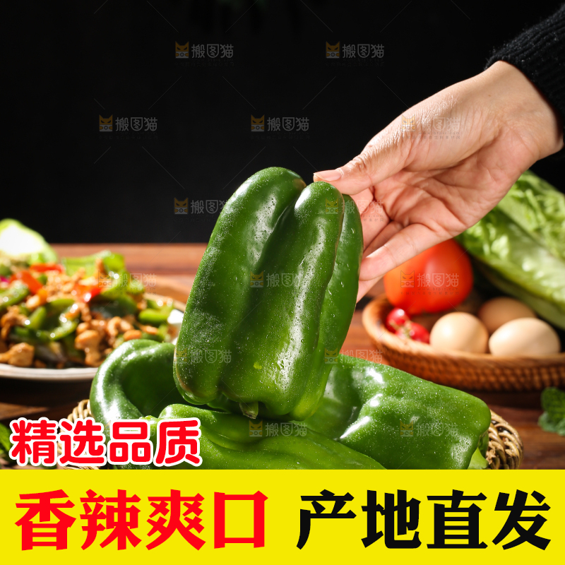 青圆椒主图