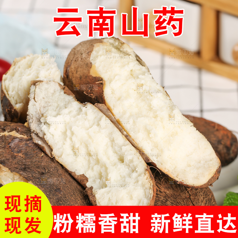 浅底上的云南山药