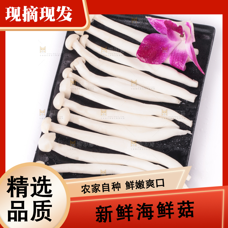白底上的海鲜菇