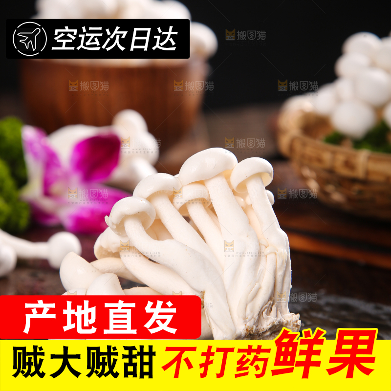 深底上的白玉菇