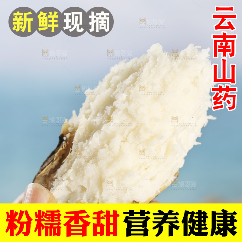 浅底上的云南山药