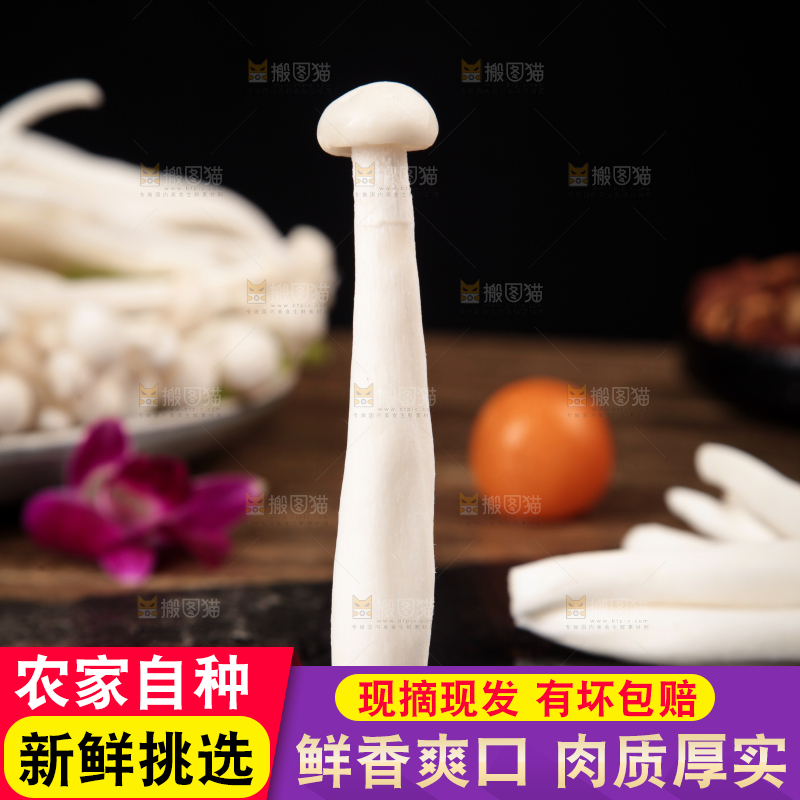 深底上的海鲜菇