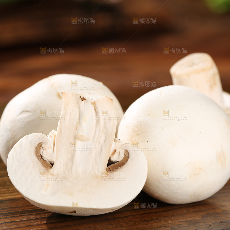 木底上的口蘑