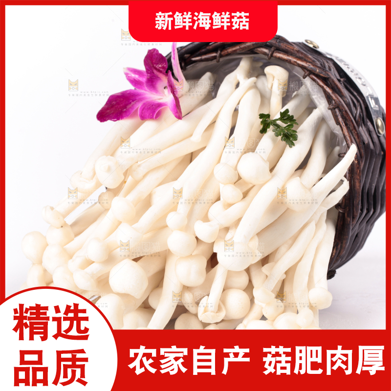 白底上的海鲜菇