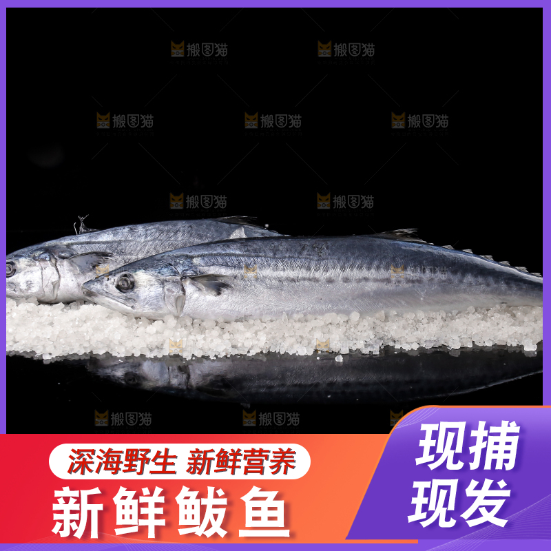 黑底上的新鲜鲅鱼