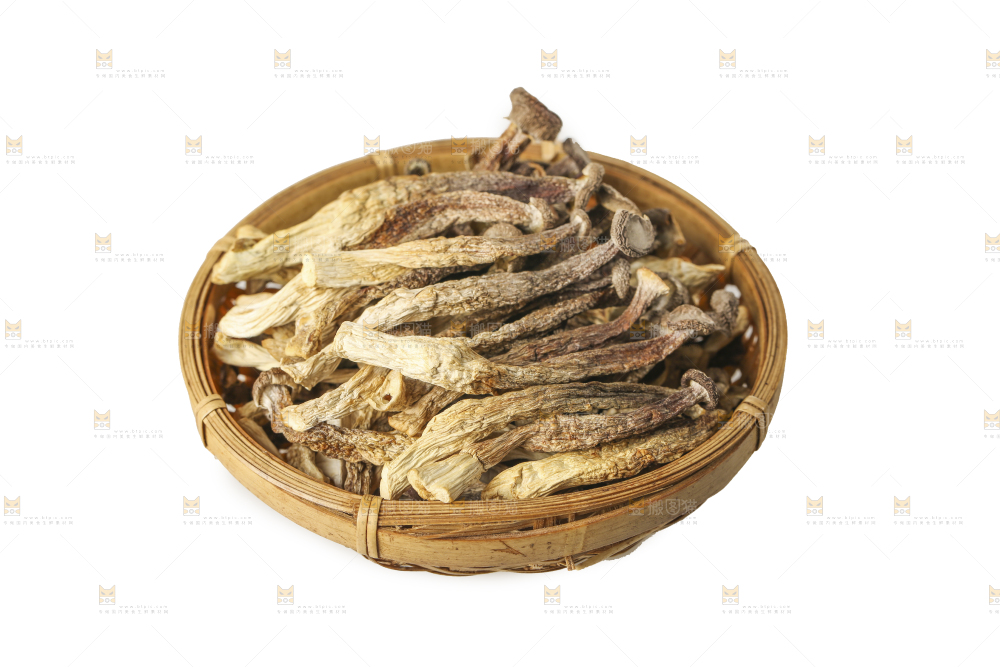 白底上的鹿茸菇