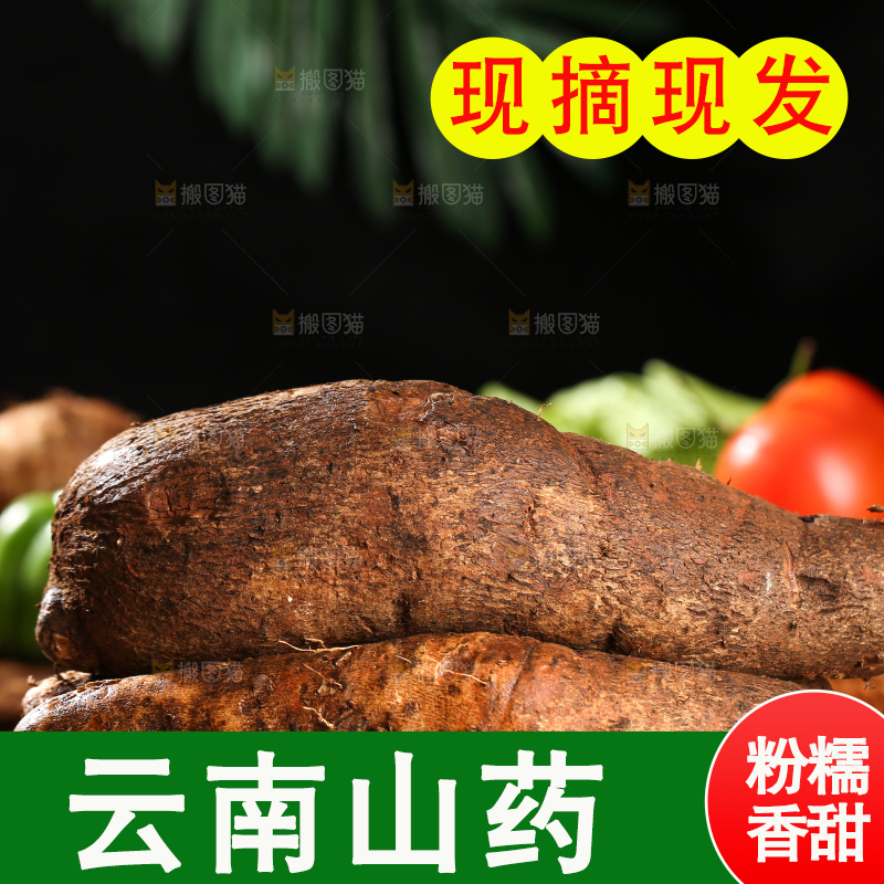 木底上的云南山药
