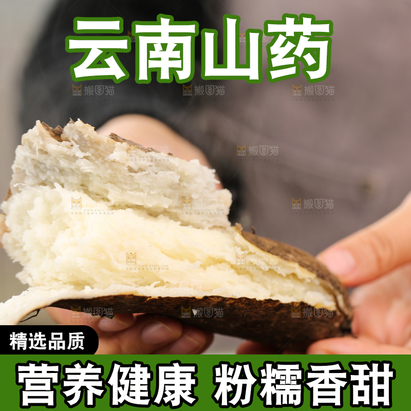 木底上的云南山药