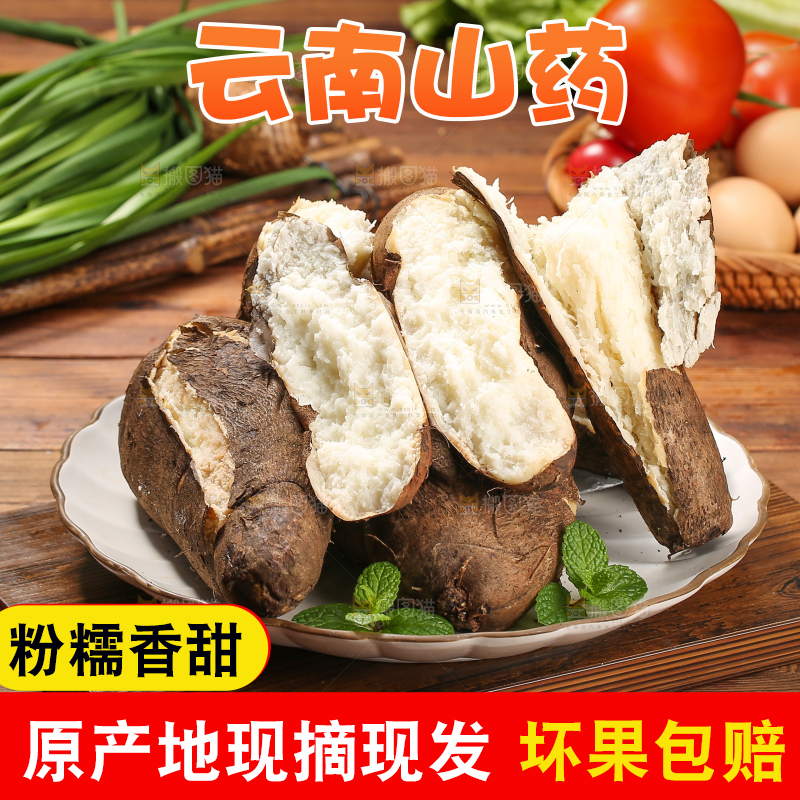 木底上的云南山药