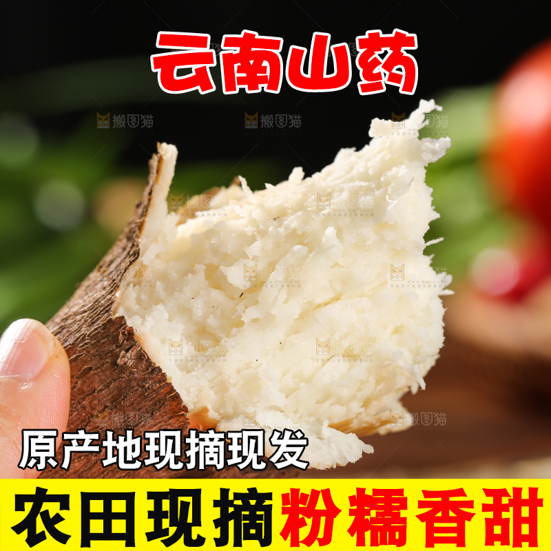 木底上的云南山药