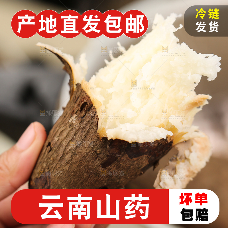 木底上的云南山药