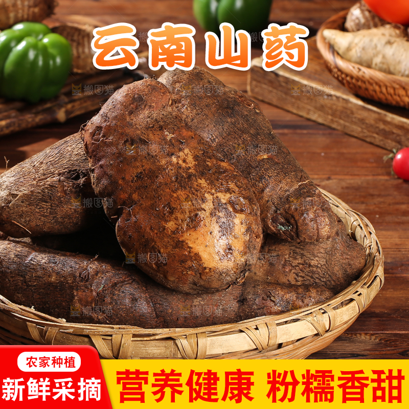 木底上的云南山药