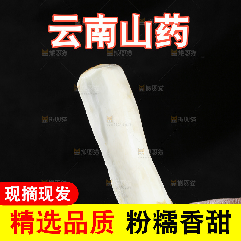 木底上的云南山药