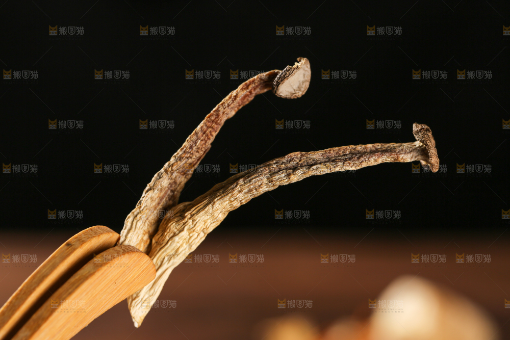 深底上的鹿茸菇