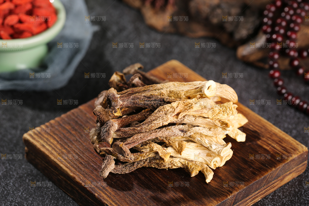 深底上的鹿茸菇