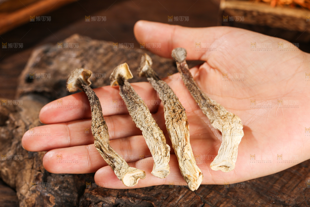 深底上的鹿茸菇