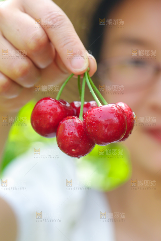 手里拿着新鲜大樱桃