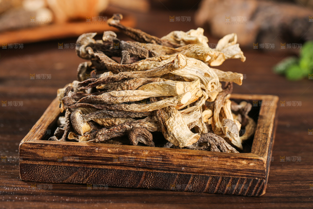 深底上的鹿茸菇