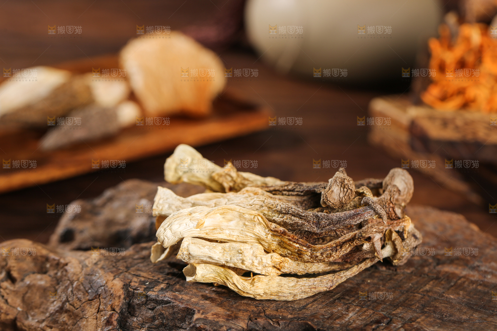 深底上的鹿茸菇