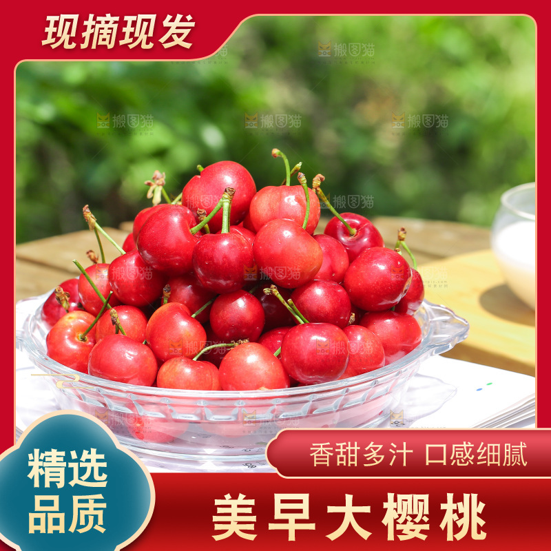 手里拿着新鲜大樱桃