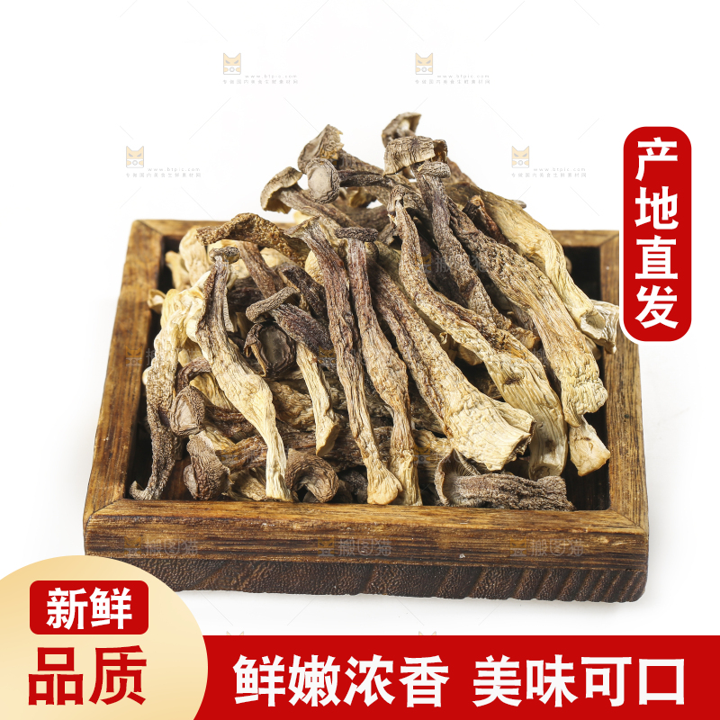 白底上的鹿茸菇