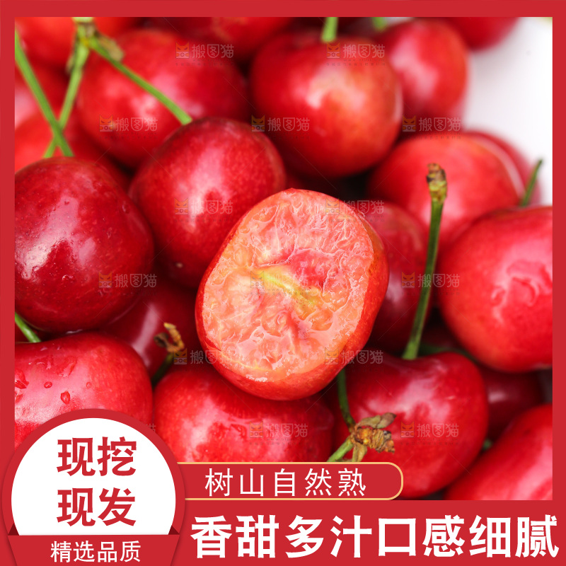 美早大樱桃主图