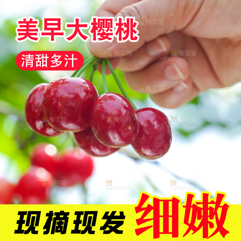 手里拿着新鲜大樱桃