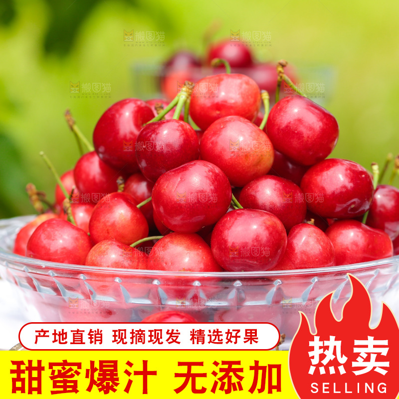 手里拿着新鲜大樱桃