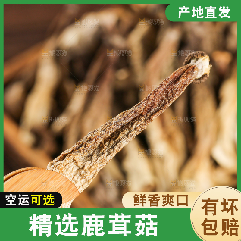 深底上的鹿茸菇