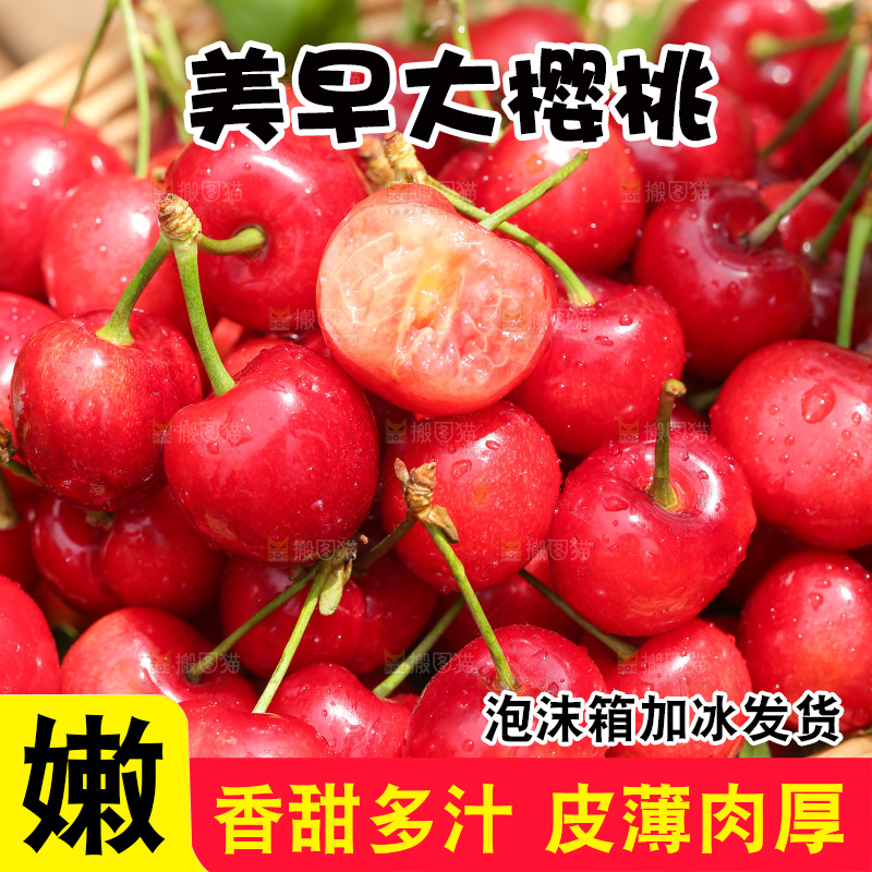手里拿着新鲜大樱桃