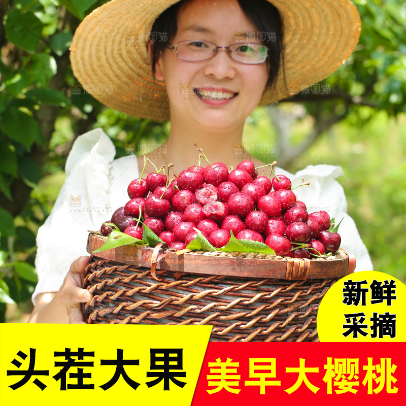 手里拿着新鲜大樱桃