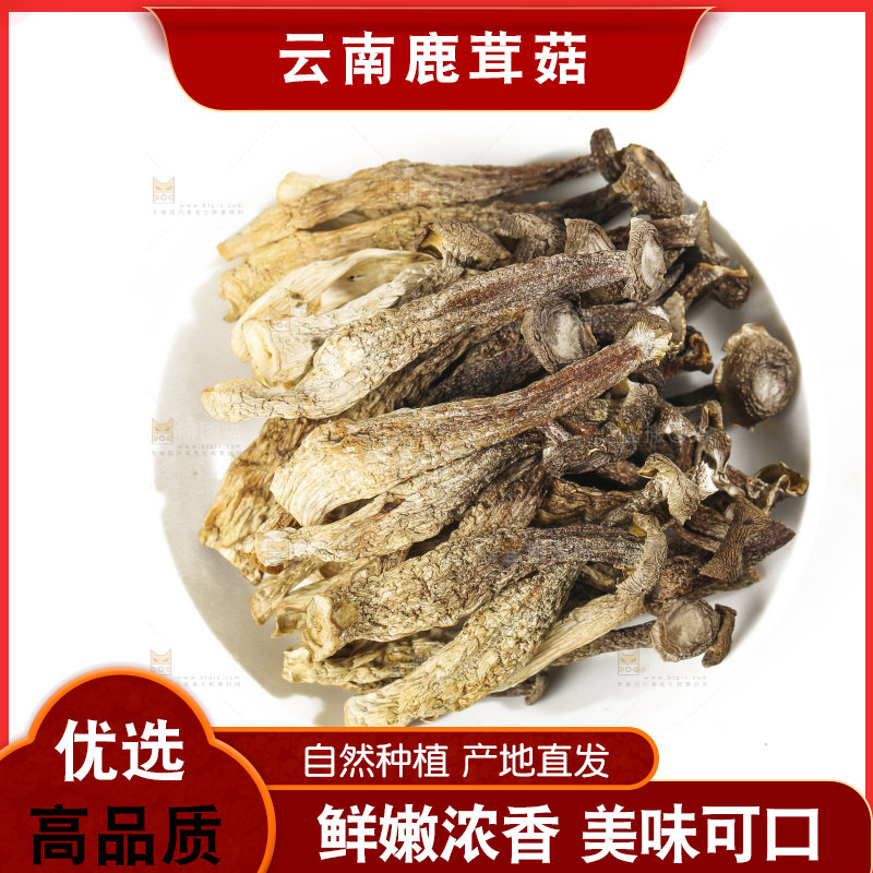 白底上的鹿茸菇