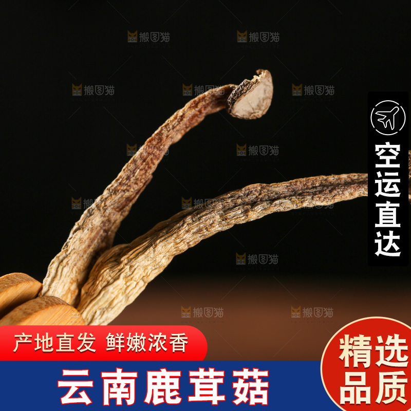 深底上的鹿茸菇