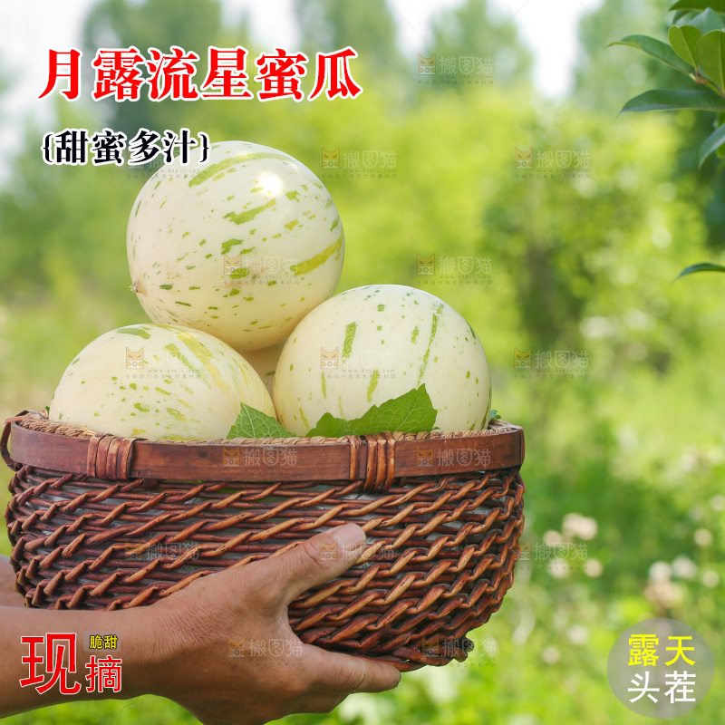 手里拿着流星蜜瓜