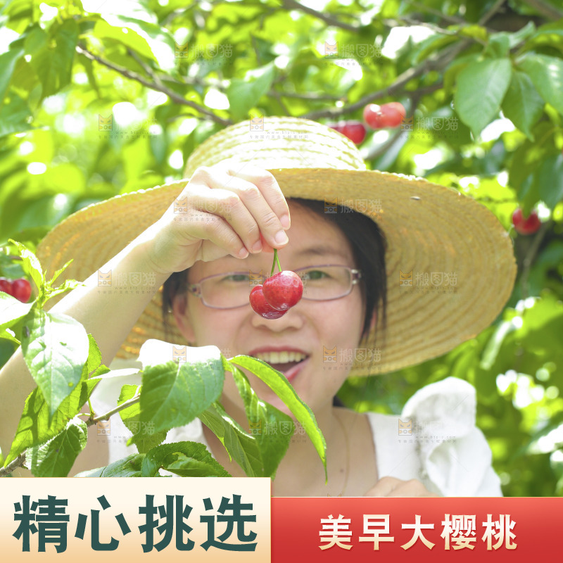 手里拿着新鲜大樱桃