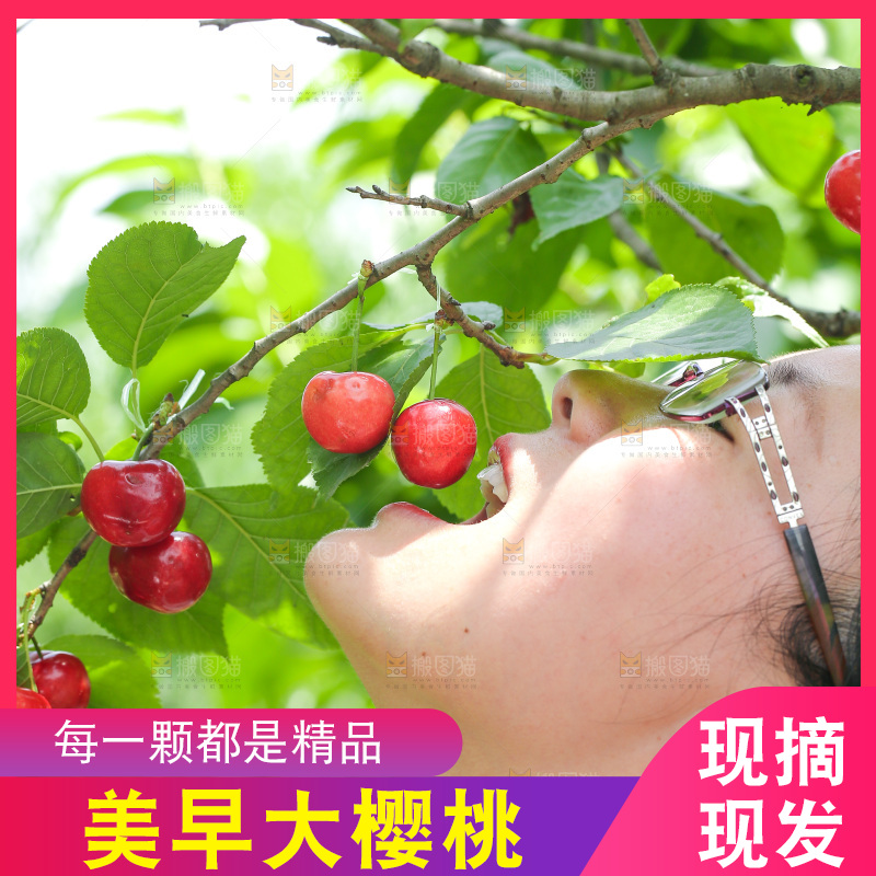 手里拿着新鲜大樱桃