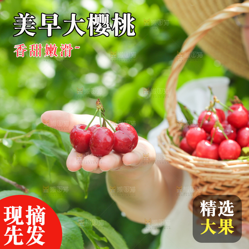 手里拿着新鲜大樱桃